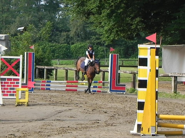  Centro ecuestre y escuela de equitación 